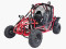 200cc OFFROAD BUGGY AUTO $3899.00